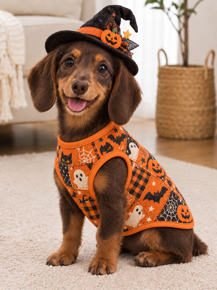 Chaleco sin mangas para mascotas Halloween-Adecuado para gatos y perros